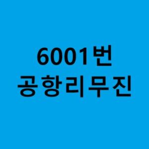 6001번-공항리무진