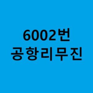 6002번-공항리무진