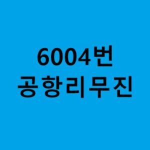 6004번-공항리무진