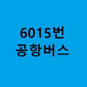 6015번-공항버스