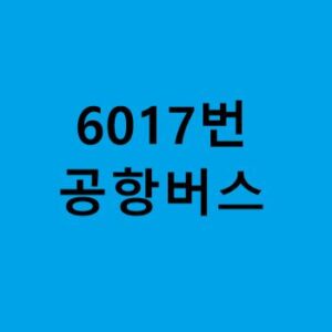 6017번-공항버스