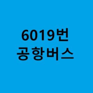 6019번-공항버스