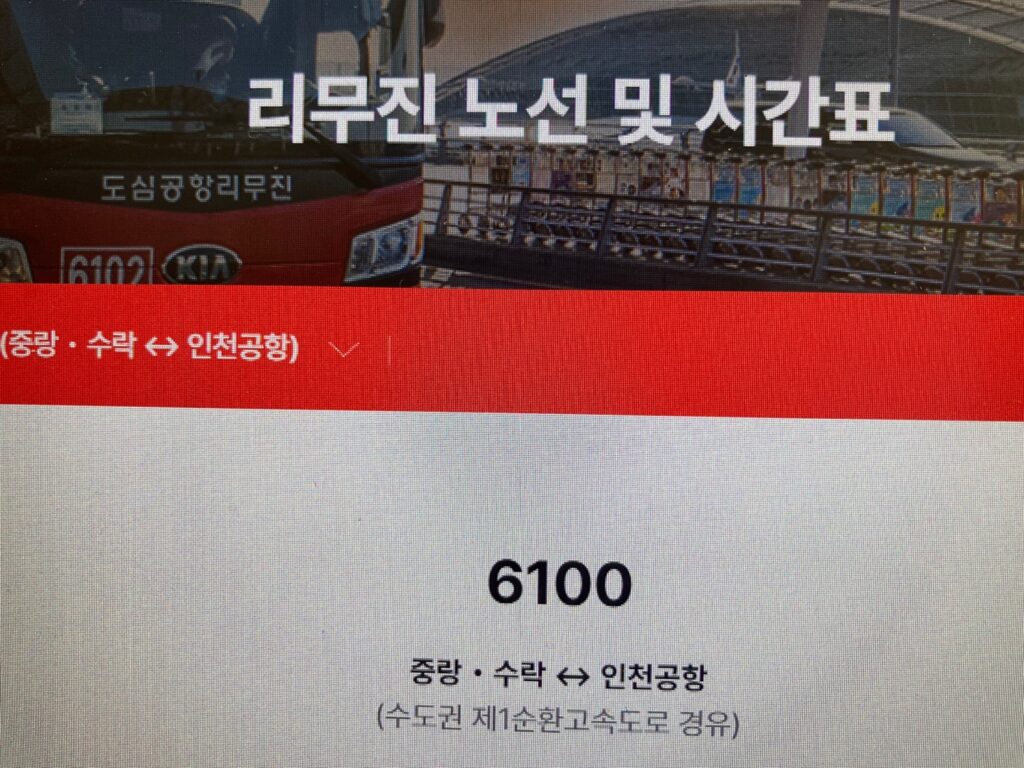 도심공항리무진-6100번